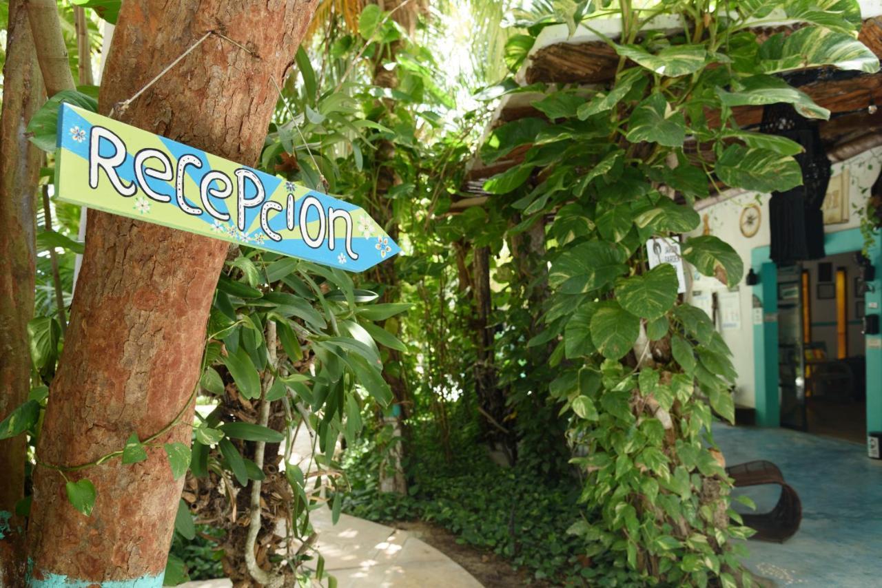 Hotel Villas Tiburon Isla Holbox Exterior photo